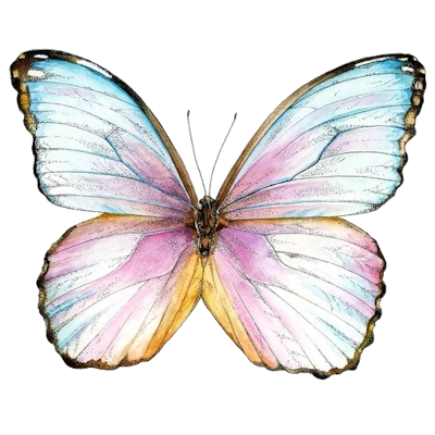 Katja Lemberg papillon WEBP